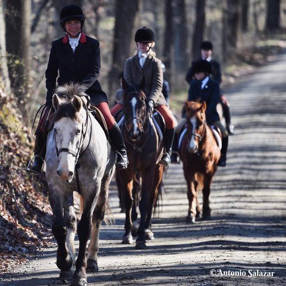 Meet your Posher, Betsy - Picture 1 of 1